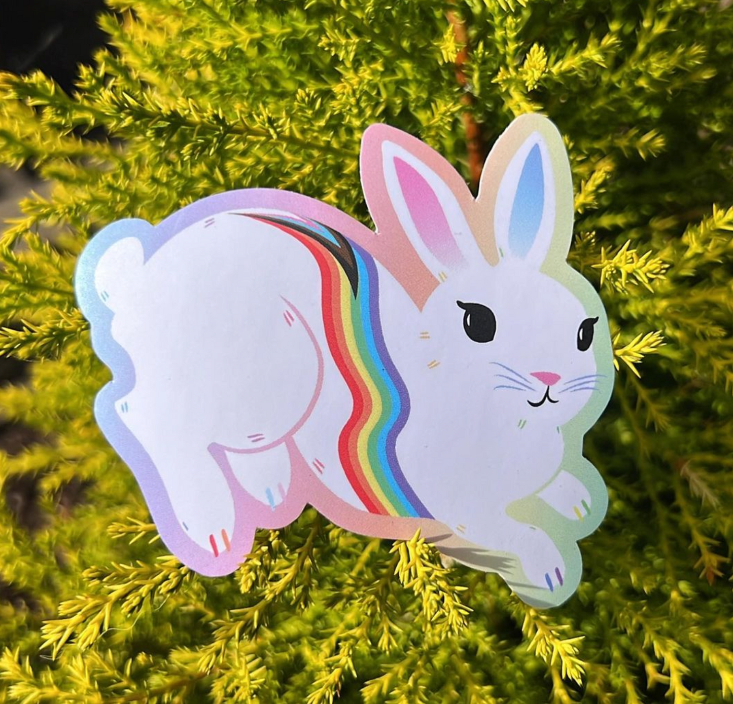'Rainbow' June 2023 Bunny Club