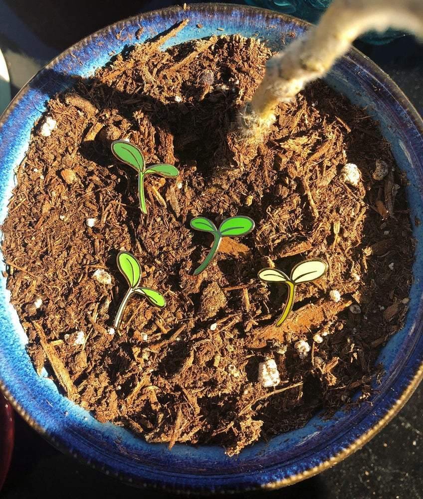 Sprout Board Fillers - Fox & Koi