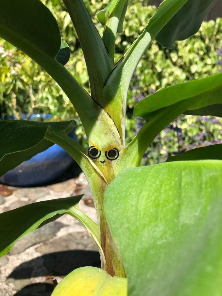 STICKER SHEET - Fox & Koi