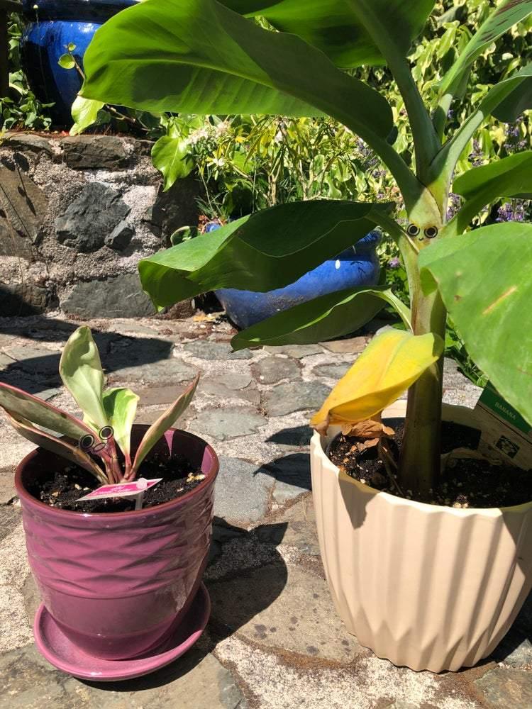 STICKER SHEET - Fox & Koi