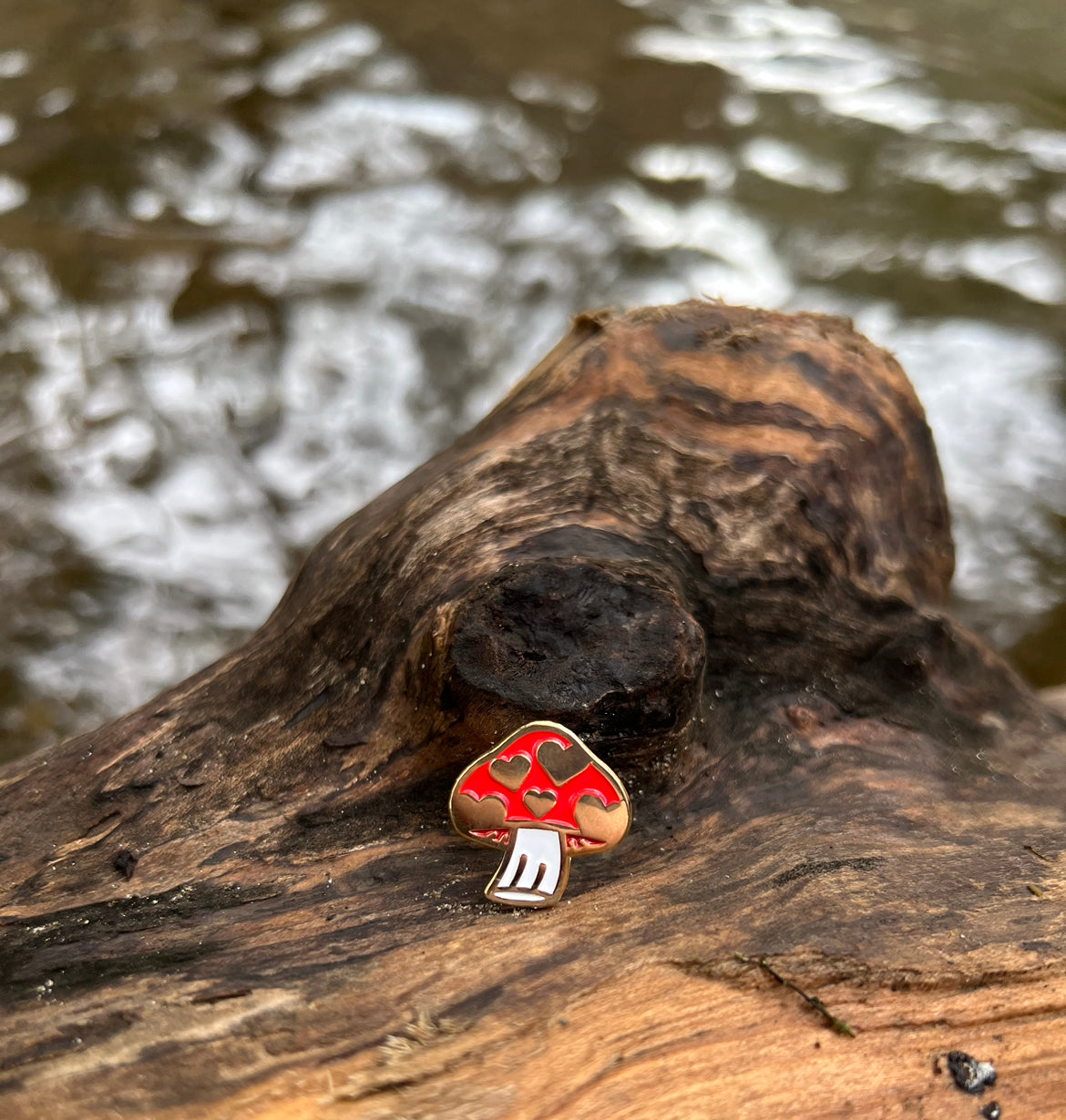 Poy The Frog + Howie The Housefly