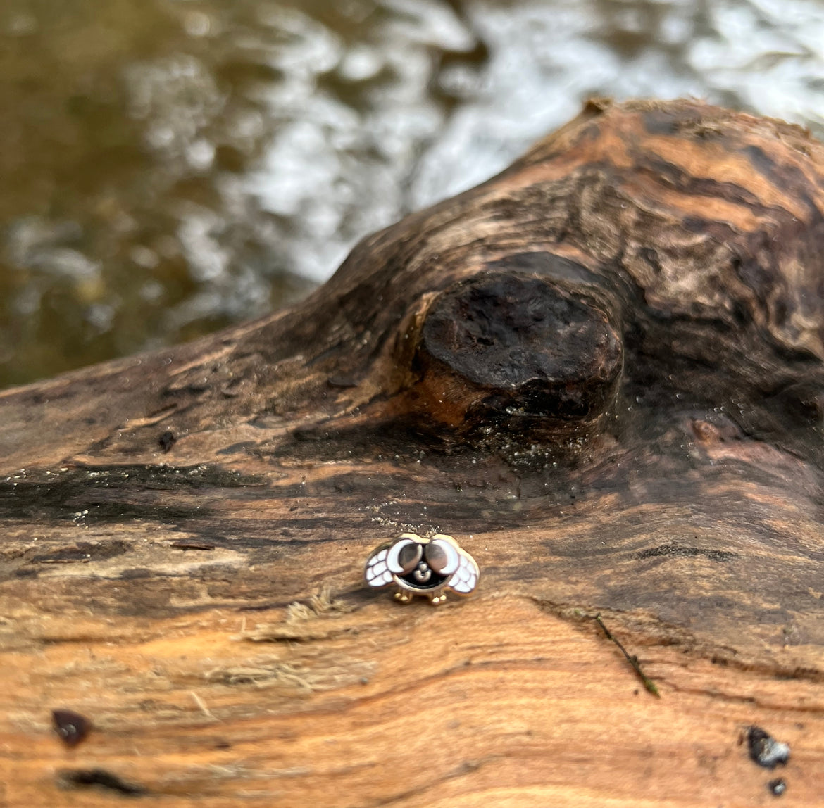 Poy The Frog + Howie The Housefly