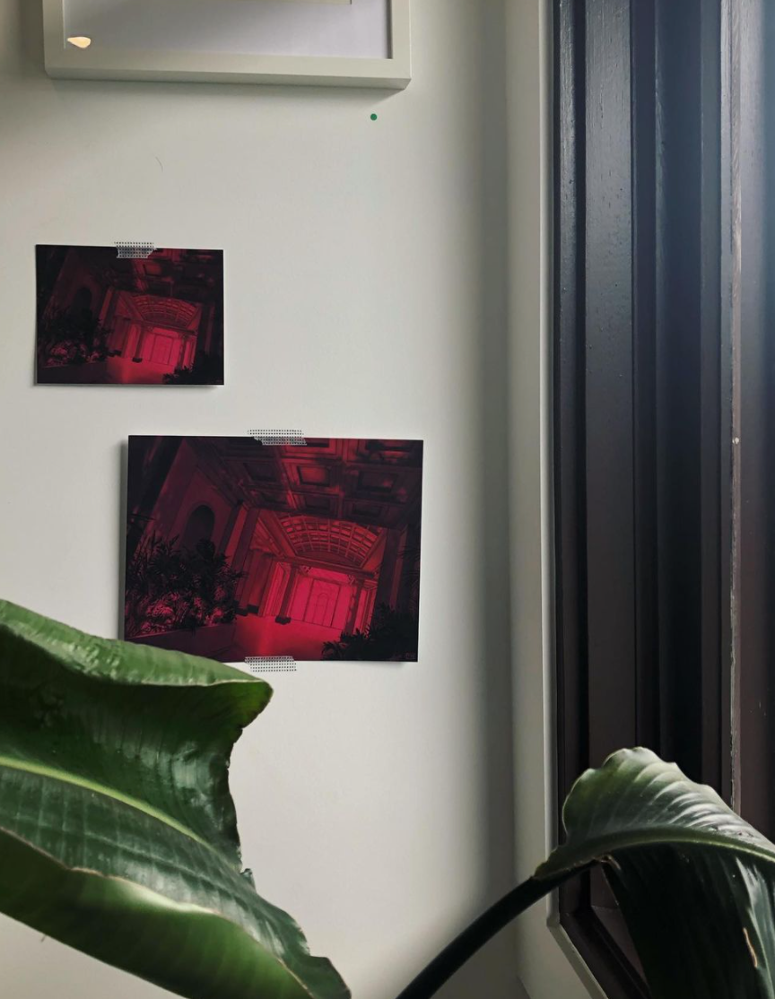 7th Sense Print - Fox & Koi