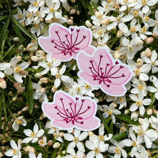 cherry blossom sticker