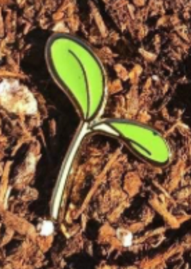 Sprout Board Fillers