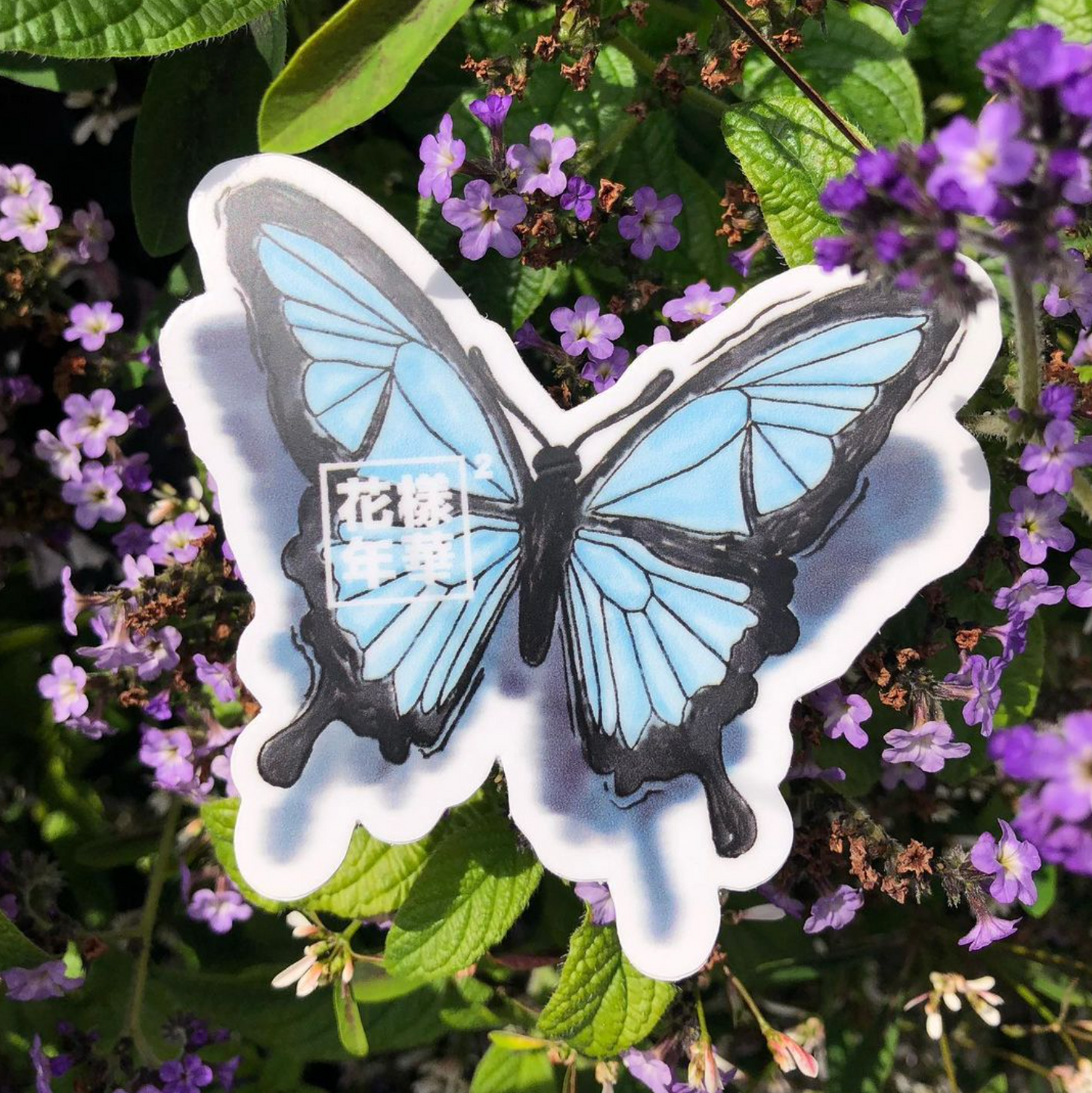 blue butterfly sticker