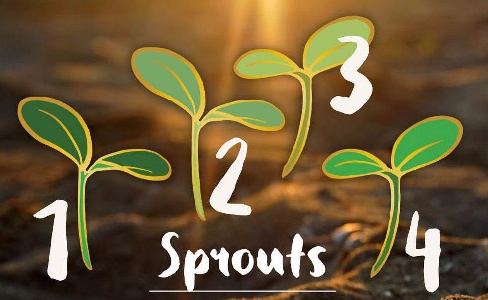 Sprout Board Fillers - Fox & Koi