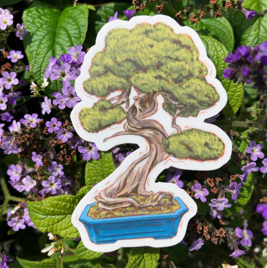 clear bonsai sticker